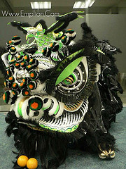 Southern Lion Dance | Beyond the Pride Lion Dance Exhibition